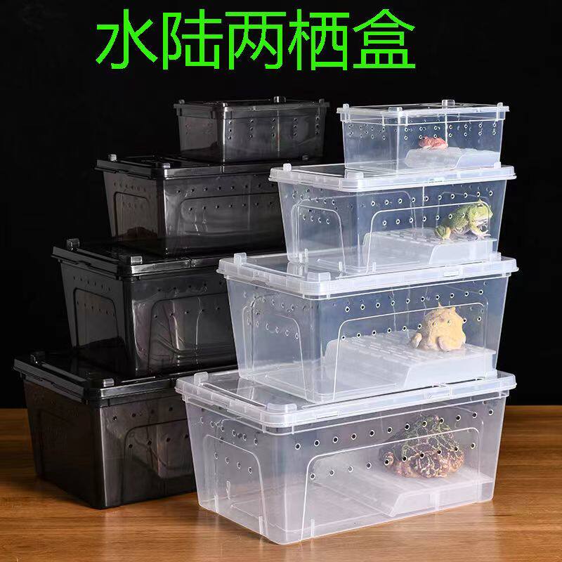 豹纹守宫爬虫蛙类蜘蛛小宠异宠饲养盒活体饲养箱