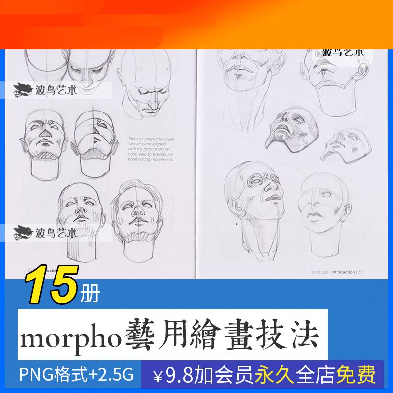 morpho人体结构动态动作速写线稿 素描绘画美术参考电子图片素材