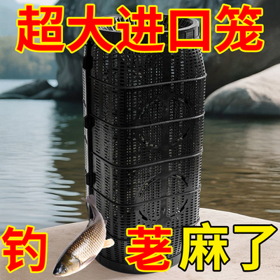 【超大进口笼】双口倒须口捕鱼笼
