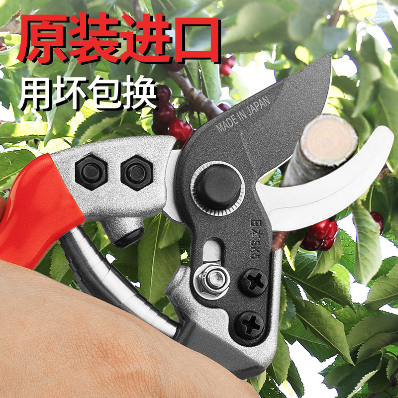 进口剪枝剪刀省力园林花艺剪多功能果树修剪专用粗大枝剪园艺工具图片