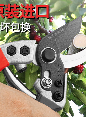 日本sk5不锈钢园艺剪刀修枝剪果树修剪园林粗枝剪花卉采摘果剪刀