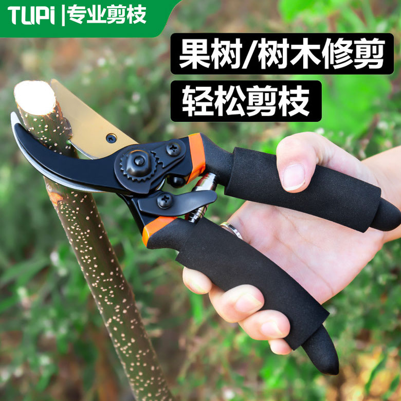 进口剪树枝专用剪刀果树修剪刀锰钢剪枝专用剪刀花艺盆景园林剪刀图片