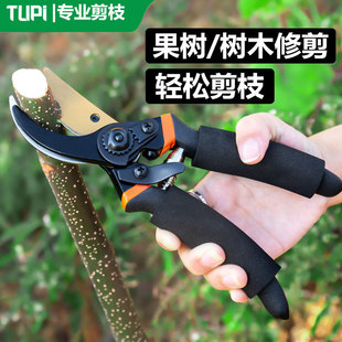 进口剪树枝专用剪刀果树修剪刀锰钢剪枝专用剪刀花艺盆景园林剪刀