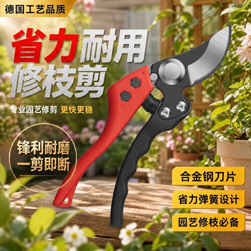 德国原装进口SK5强力园艺剪园林花卉修枝剪树剪子防滑手柄果树剪