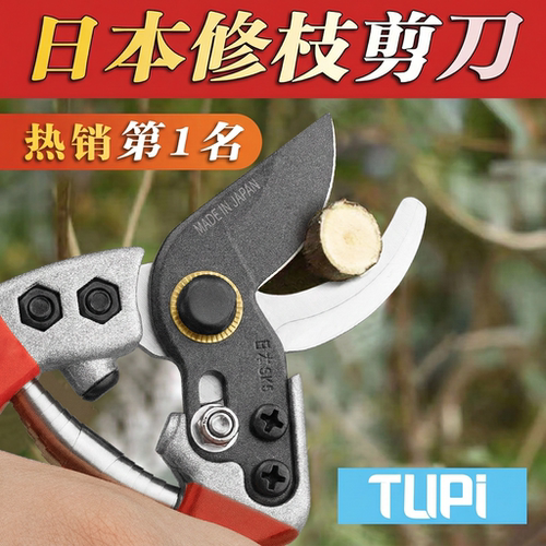 日本进口SK5粗枝剪果树修枝剪刀