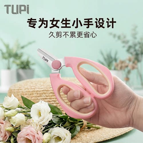 修树专用剪刀不锈钢果树枝剪刀园艺专业园林剪刀剪枝修花省力剪刀 - 封面