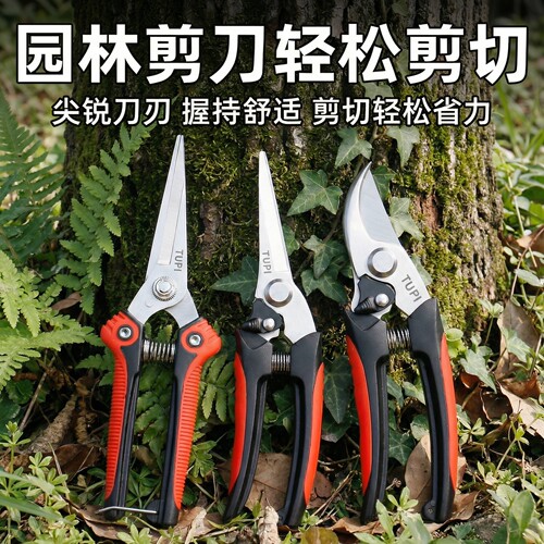 修枝剪花园艺剪刀省力果树剪粗枝园林盆景修剪造型专用花卉稀果剪