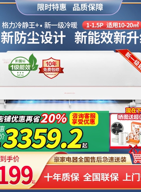 格力冷静王+新一级能效新款挂机