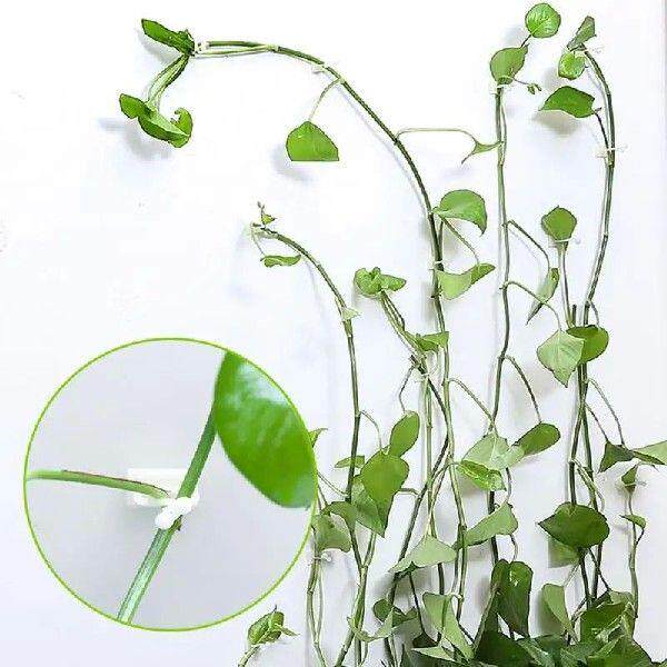 3 Size Invisible Wall Rattan Clamp Clip Plant Climbing Wall