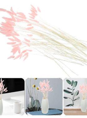 120 Pcs Preserved Flower Rabbit Tail Grass Dried Dog