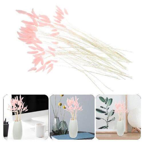 120 Pcs Preserved Flower Rabbit Tail Grass Dried Dog