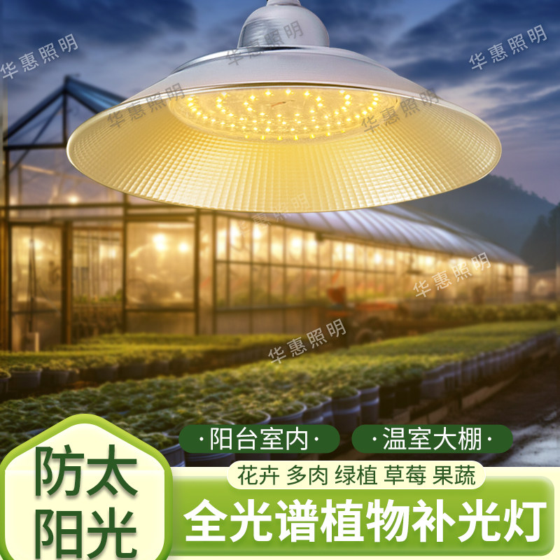 果树大棚育苗植物生长灯室内仿阳光节能LED60W补光灯草莓多肉葡萄