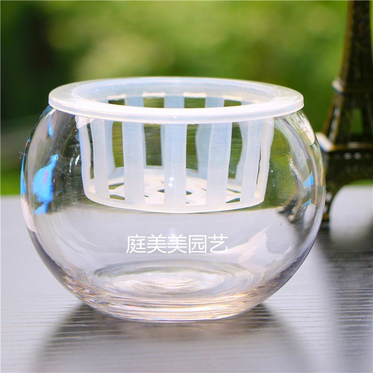 养花玻璃白色固定花瓶专用培植蓝塑料篮子水培植物圆形花盆定植篮 惠轻查 养花玻璃白色固定花瓶专用培植蓝塑料篮子水培植物圆形花盆定植篮 惠轻查