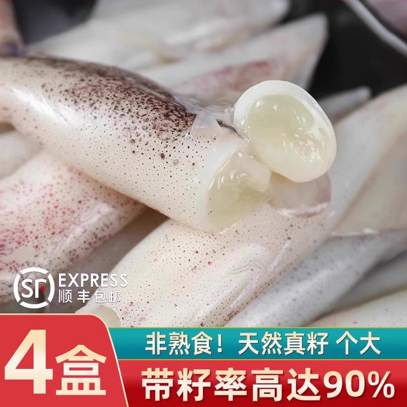 海兔子满籽笔管鱼顺丰包邮