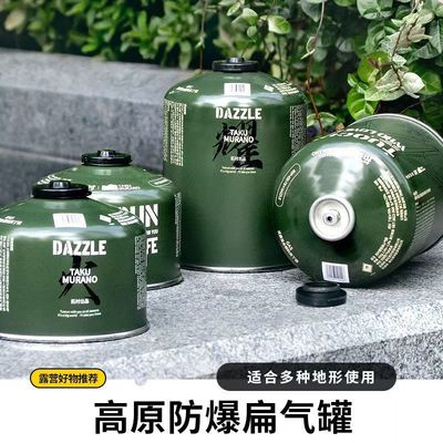 拓村便携式燃气罐户外气罐野营炉具露营烧烤工具高山平原