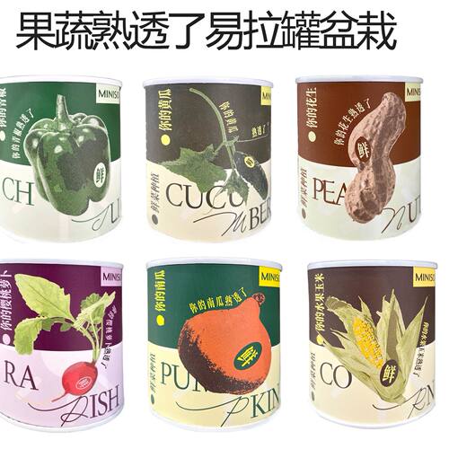 MINISO名创优品爬藤花花盆栽绿植豌豆花牵牛花旱金莲种子桌面植物