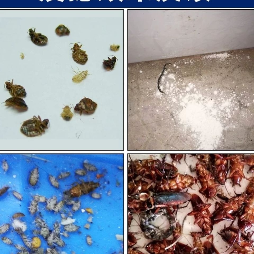虱子酒m店蟑螂泉蚂蚁跳蚤臭虫花虫菜家用宾馆10瓶杀虫灭粉剂千粉l