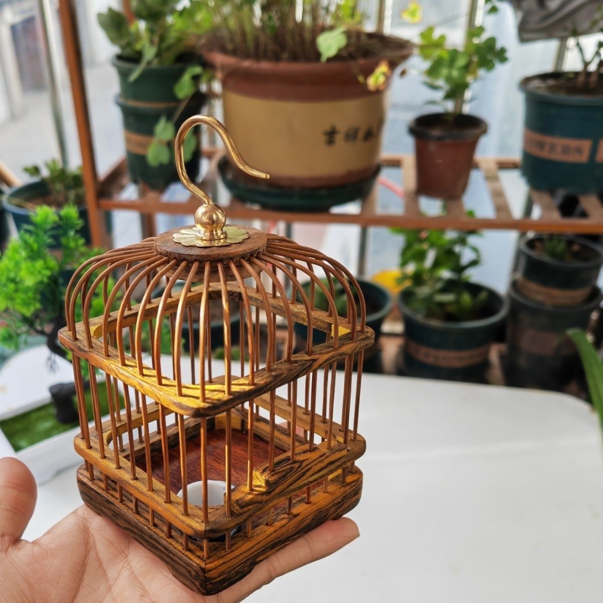高档新款蝈蝈乌木红木笼