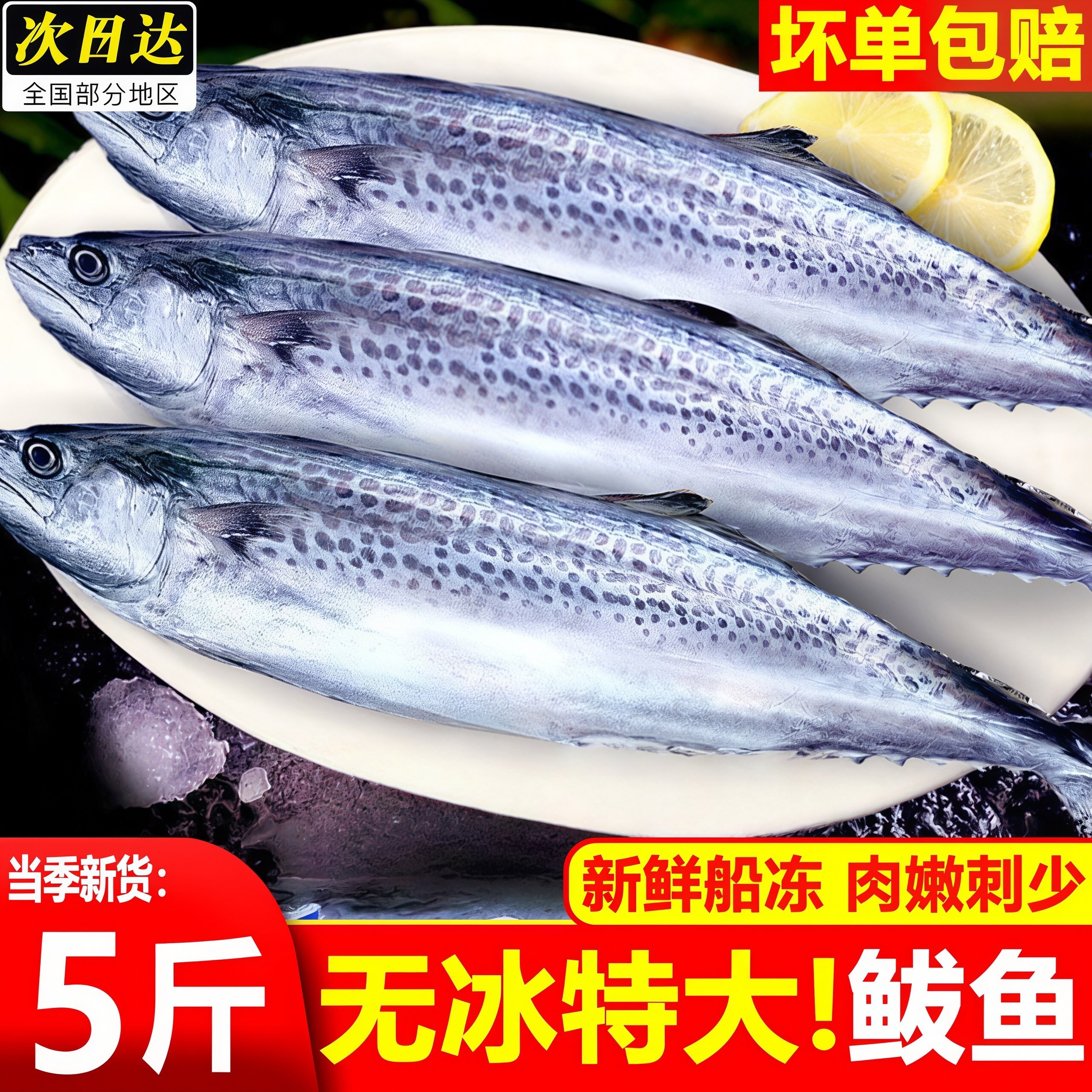 新鲜大鲅鱼速冻现捕鲐鲅鱼整条马鲛鱼燕鲅鱼海鲜海鱼商用批发顺丰,水产肉类/新鲜蔬果/熟食,马鲛鱼,淘宝优惠券,粉丝福利购,淘宝优惠卷