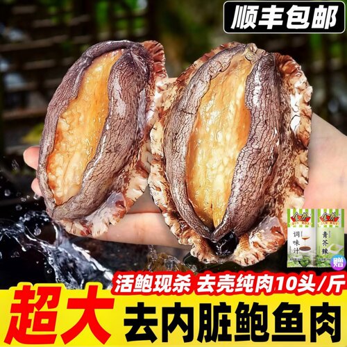 鲍鱼肉鲜活冷冻特大新鲜海捕贝类活体速冻大鲍鱼海鲜水产10头纯肉