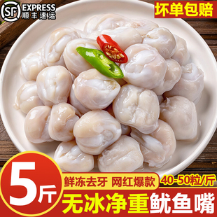 鱿鱼嘴新鲜去牙大号墨鱼嘴嚼劲乌贼嘴冷冻目鱼嘴烧烤商用批发顺丰