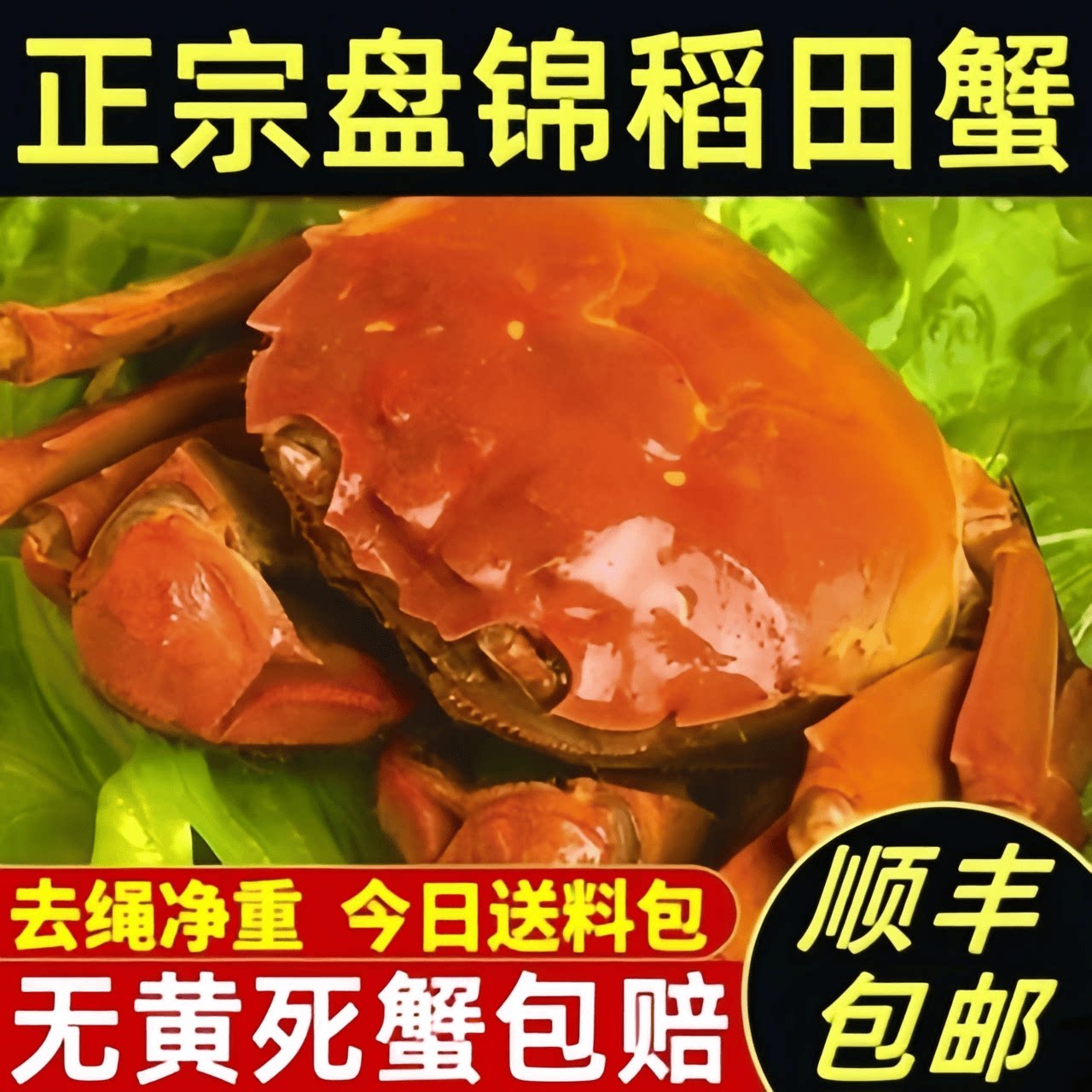 盘锦河蟹空运发货死蟹包赔