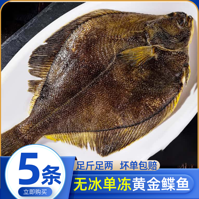 黄金鲽鱼新鲜比目鱼活冷冻整条