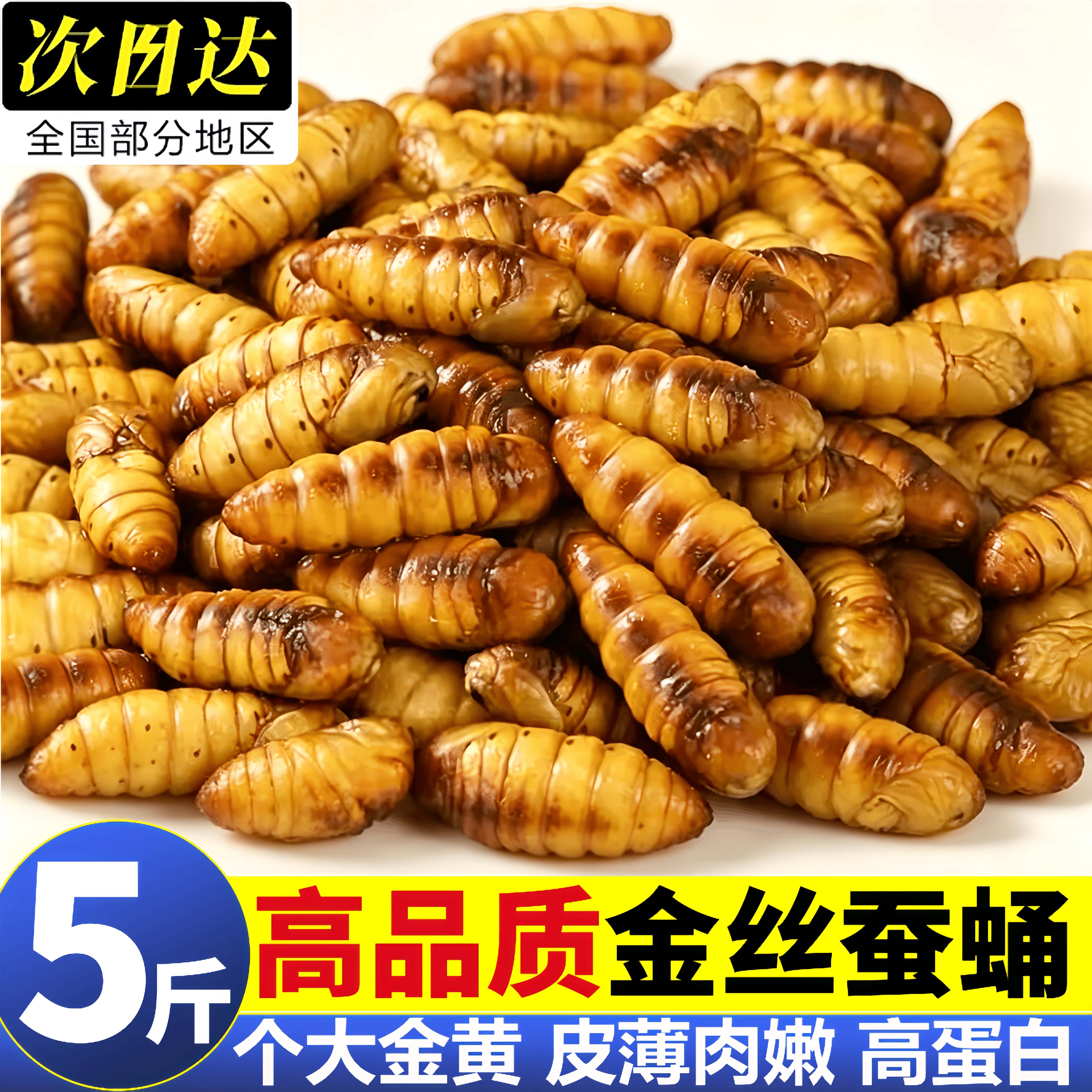 山东特级金丝蚕蛹冷冻即食烧烤