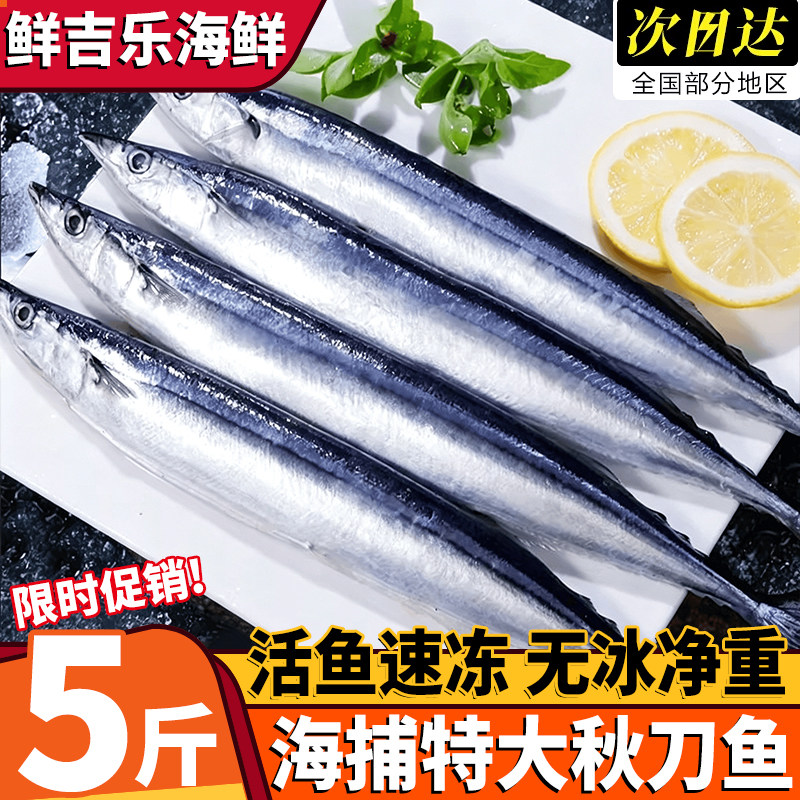 新鲜冷冻特大5斤装秋刀鱼烧烤