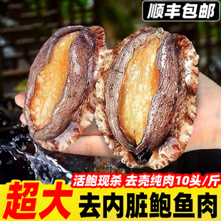 鲍鱼肉鲜活冷冻特大新鲜海捕贝类活体速冻大鲍鱼海鲜水产10头纯肉