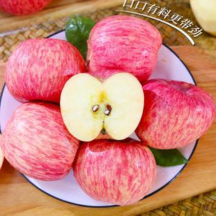包邮 正宗陕西洛川苹果农家个人店红富士新鲜脆甜当季 整箱12个装