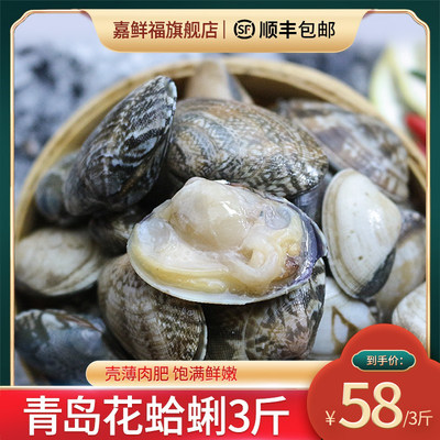 青岛蛤蜊新鲜当天红岛花甲3斤
