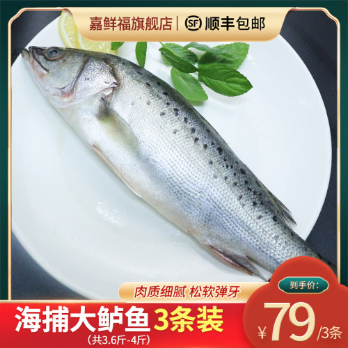 鲈鱼新鲜冷冻七星花鱼3条青岛