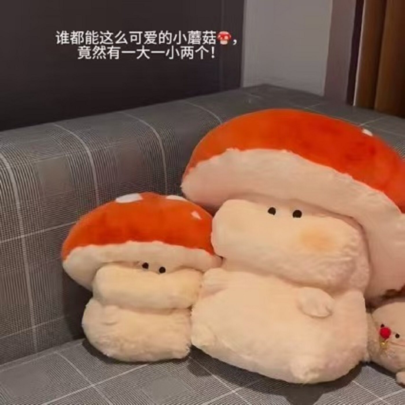 超可爱的蘑菇秃秃tutu玩偶公仔