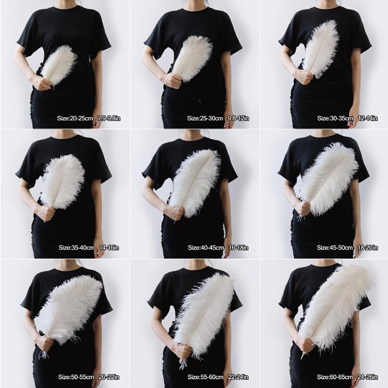 10Pcs Colored Fluffy Ostrich Feathers for Natural Plumes Cra