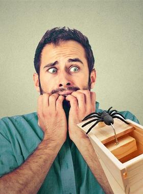 Halloween Rubber Spider Prank Wooden Box Toys for Kids False
