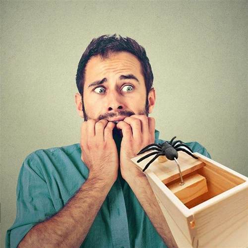 Halloween Rubber Spider Prank Wooden Box Toys for Kids False