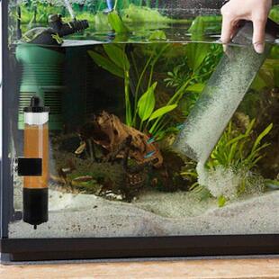 Artemia Eggs for Aquarium Aquarium Accessories Artemia Eggs