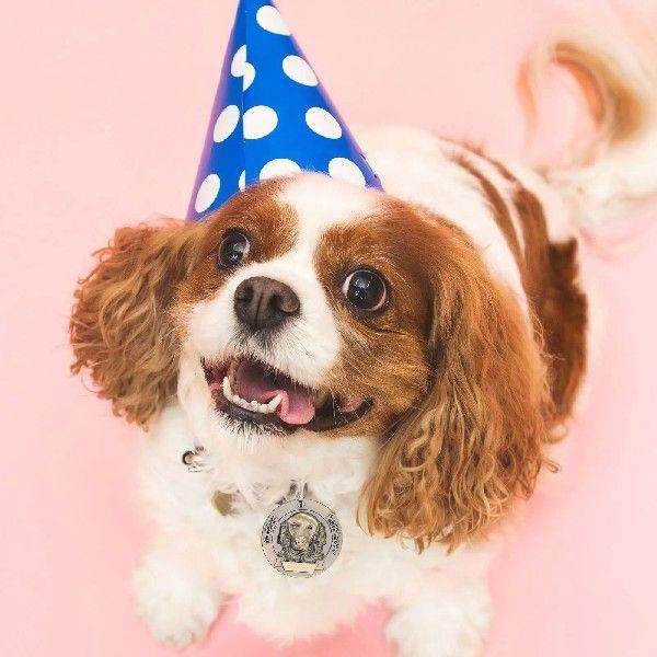 3pcs Vintage Pet ID Tag Personalized Name Decorative Dog