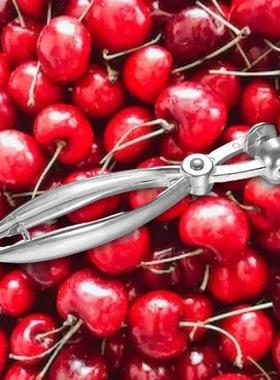Metal Cherry Olive Pitter Remover Kitchen Gadgets Vegetable
