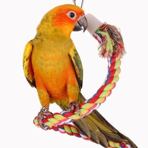Parrot Toy Wicker Rope Hanging Braided Budgie Chew Bird