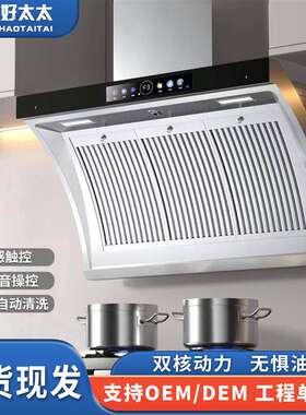 不锈钢抽油烟机侧吸式家用烟机出租屋公寓大吸力小型抽油烟机110v