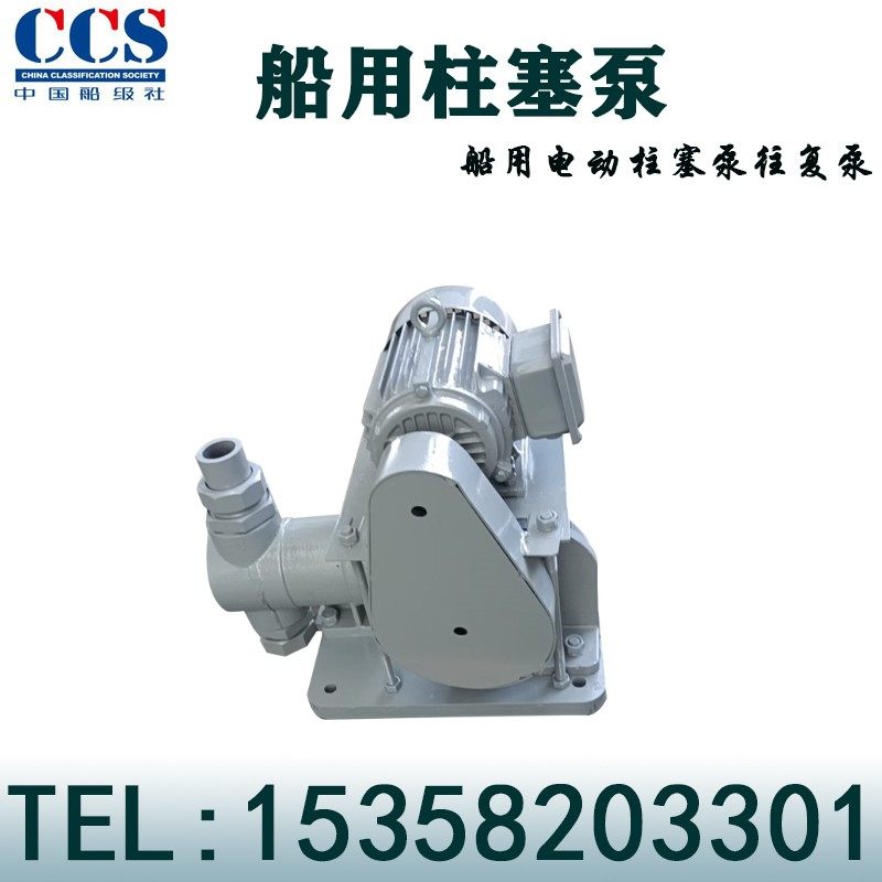 船用电动柱塞泵往复泵DZ-100 DZ-250 DZ-500 DZ-1000油水分离器泵