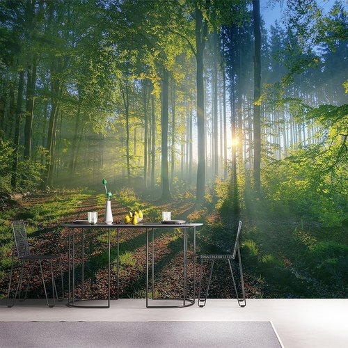 3d壁纸背景墙森林大自然素材模板 3d壁纸背景墙森林大自然图片下载 小麦优选