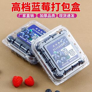 一次性水果盒子 带盖透明塑料草莓盒一斤装500克打包盒水果包装盒