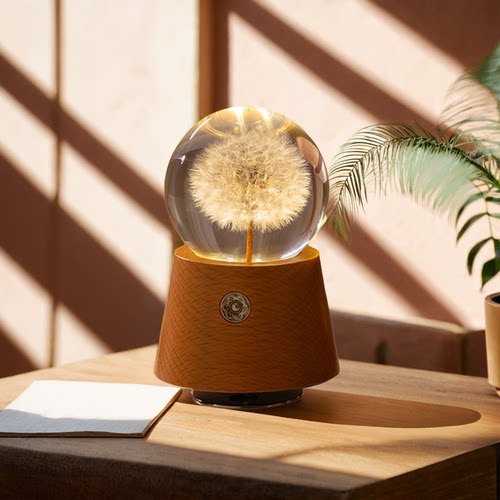 蒲公英水晶球音乐盒旋转小夜灯