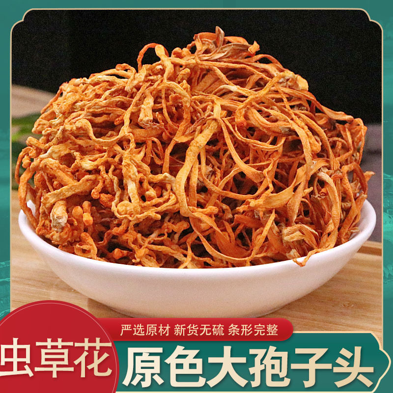 虫草花 虫草蛹金虫草北虫草煲汤料优质新货500g