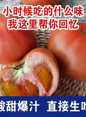 新鲜自然熟老品种沙瓤西红柿