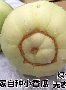 顺丰包邮甜宝甜瓜白皮小香瓜5斤