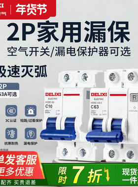 德力西空气开关断路器漏电保护器家用2P63a双极双匹电闸总空开